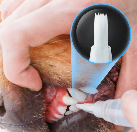 🐶 PETCLEAN™  Pet Teeth Cleaner Pen 🐕‍🦺