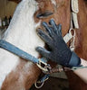 Hirundo® Grooming Gloves for Horses and Pets