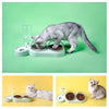 Dog Cat Bowl Feeder