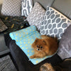 Load image into Gallery viewer, Dog Cooling Sofa Bed