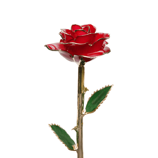 24K Gold Dipped Rose - Valentine's Day Hot Sale