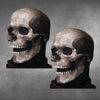 Load image into Gallery viewer, Full Head Skull Mask with Movable Jaw