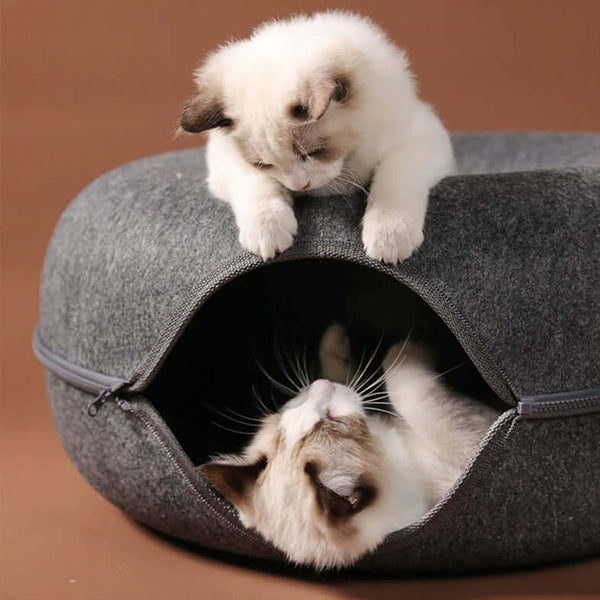 Comfortable Cat Cave