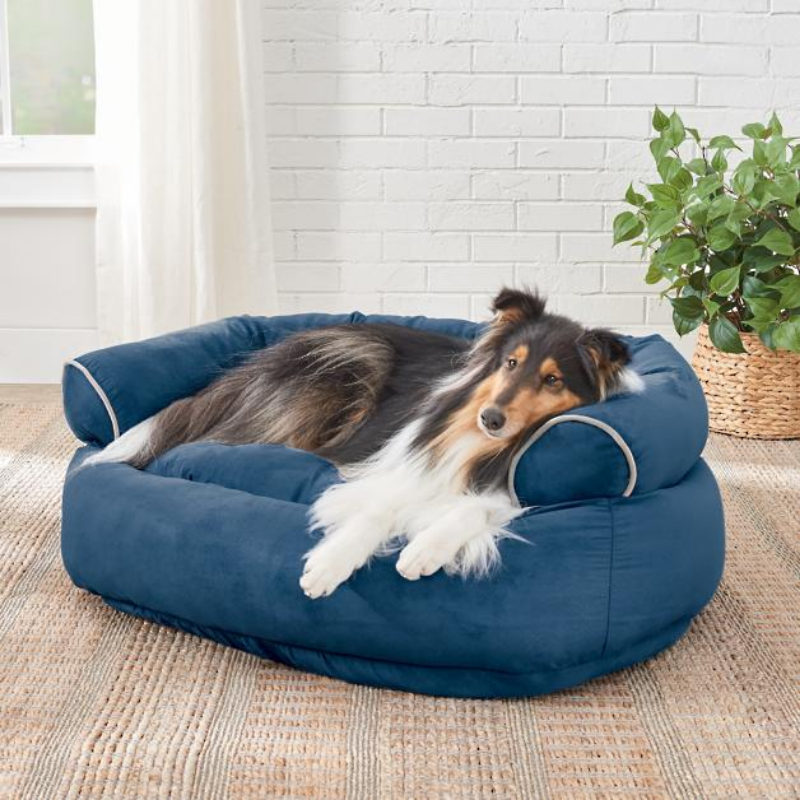 Sofa Dog Bed 2022