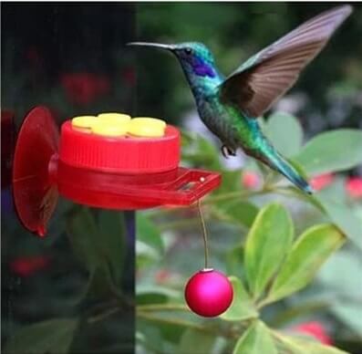 Small Hummingbird Feeder