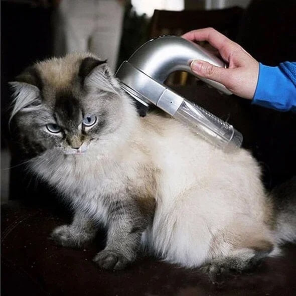 Cordless Pet Vacuum