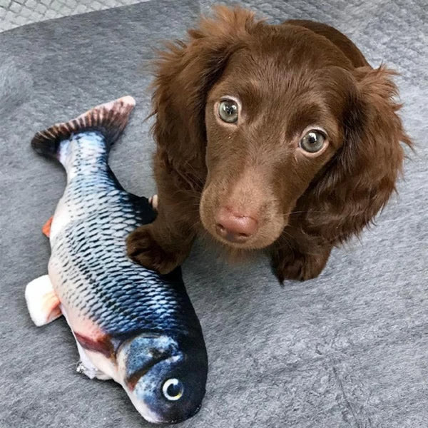 Interactive Fish Toy