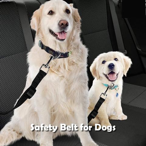Safety Belt for Dogs