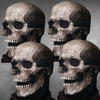 Load image into Gallery viewer, Full Head Skull Mask with Movable Jaw