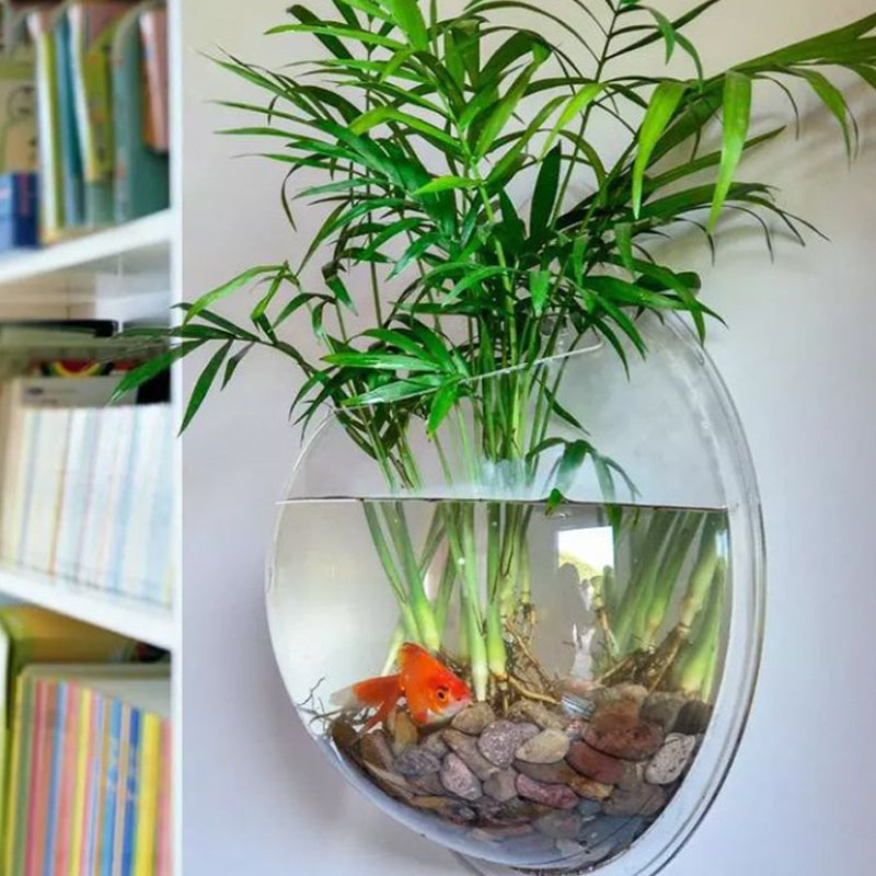 Wall Hanging Acrylic Fish Tank 🐟💦