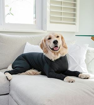 Shed Protector Dog Onesie