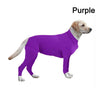 Shed Protector Dog Onesie