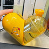 DIK™ heart shaped water bottle, 2 in 1 water bottle (🎉SPECIAL OFFER 65% OFF)🎉