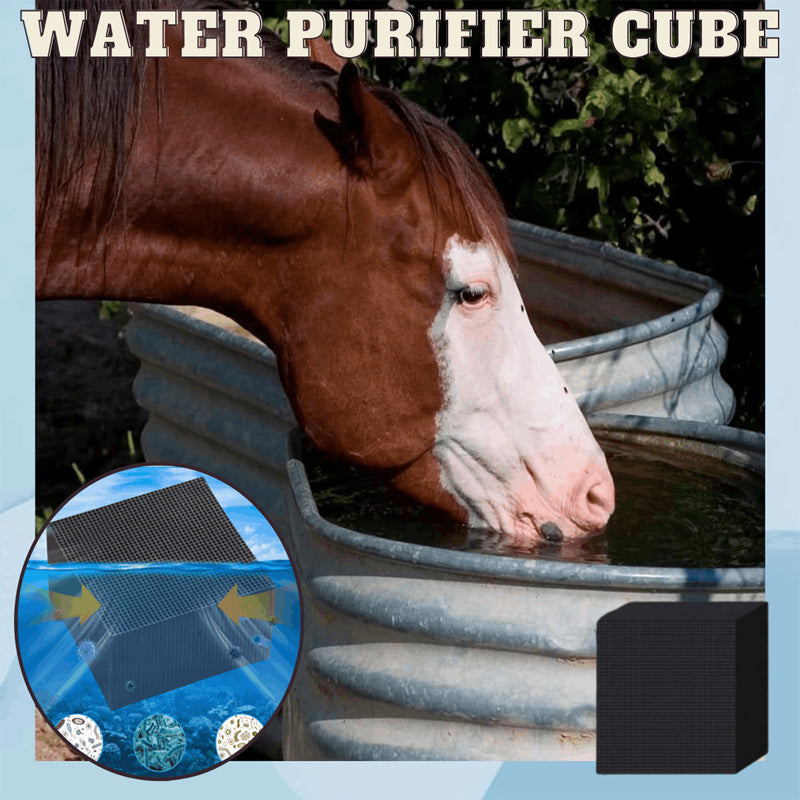 🎉[Special Offer] Get 2 Extra Water Purifier Cube at 75% Off)🎉